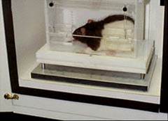 Rat Enclosure and Sensor Plate